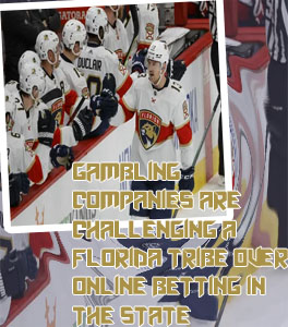 Florida sports gambling news