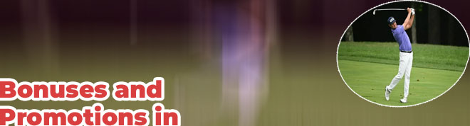 Royaljeet latest bonus issue news